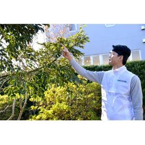 空き家管理サービス 3ヶ月:ライトプラン【屋外】_ 地域サービス  _【1508147】