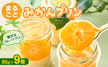 〔伊東温泉大人気〕丸ごとみかんプリン9個入_菓子・スイーツ プリン  _【配送不可地域：離島】【1538907】 4,200円