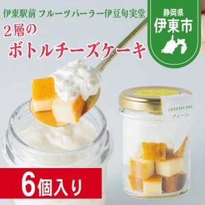 〔伊東温泉で人気〕旬実堂 2層仕立てのチーズケーキ6個入_菓子・スイーツ ケーキ  _【配送不可地域：離島】【1538930】