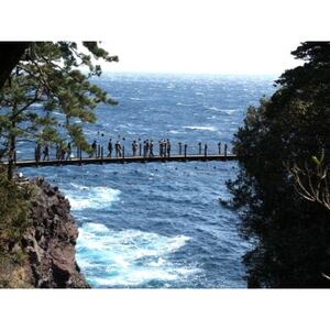 旅する伊豆高原応援パス 2,000円チケット 5枚セット_旅行券・チケット   _【1539285】