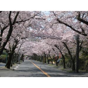 旅する伊豆高原応援パス 2,000円チケット 5枚セット_旅行券・チケット   _【1539285】