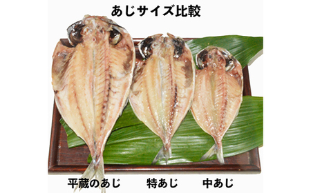 干物セット【特トロあじ10枚セット】 伊豆・伊東のひもの詰め合わせ 静岡県伊東_魚介・海産物 鮮魚 _【配送不可地域:離島】【1607078】