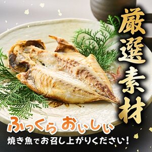 訳あり!　長崎あじ天日干しひもの 10枚!【配送不可地域：離島】【1692414】