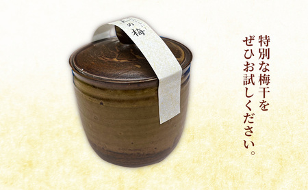 ★梅干し★極上の梅（志戸呂焼壺(つや無し)入り）贈り物 ギフト 人気 厳選 島田市 八房梅 うめ ご飯のお供 おかず 