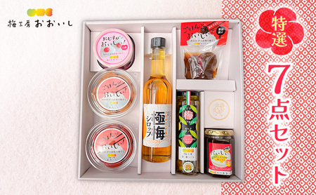 ★梅干し★7点セット 贈り物 ギフト 人気 厳選 島田市 梅ジャム 小梅 梅シロップ 白干し しそ漬け オリーブオイル漬け 醤油漬け 