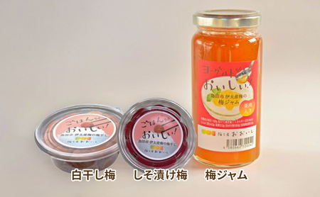 ★梅干し★7点セット 贈り物 ギフト 人気 厳選 島田市 梅ジャム 小梅 梅シロップ 白干し しそ漬け オリーブオイル漬け 醤油漬け 