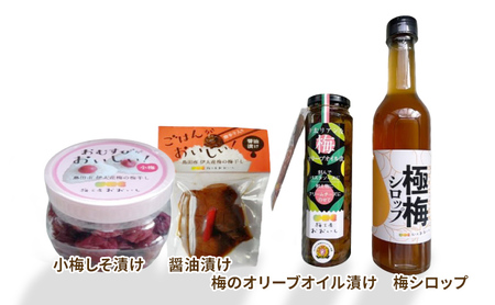 ★梅干し★7点セット 贈り物 ギフト 人気 厳選 島田市 梅ジャム 小梅 梅シロップ 白干し しそ漬け オリーブオイル漬け 醤油漬け 