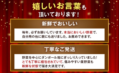 新鮮獲れたて！ まんさいかん島田 季節の野菜詰め合わせ セット 　 野菜セット 旬の野菜 旬 野菜詰め合わせ 野菜詰め合わせセット 産地直送 静岡 島田市