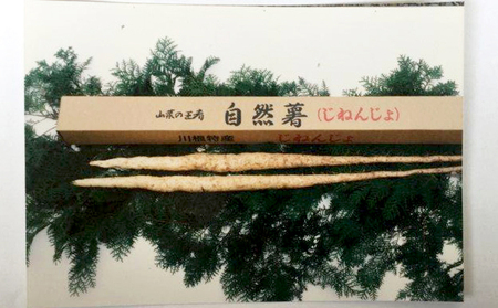 自然薯(川根産)