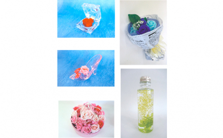 定期お届け 5回LS 5ヶ月連続お届け