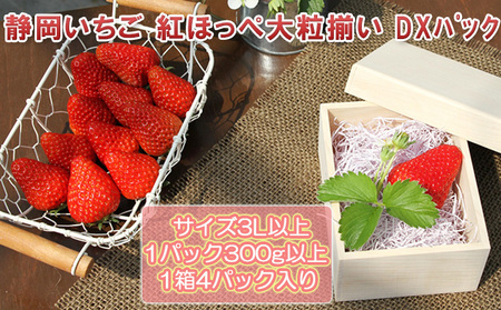 静岡いちご 紅ほっぺ大粒揃い DXパック【配送不可:離島】