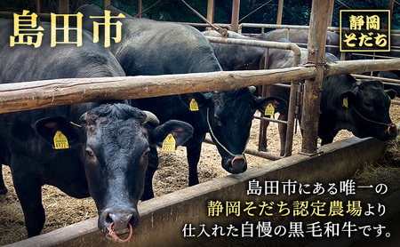 静岡 黒毛 和牛 ブランド 「 静岡そだち 」 サーロインステーキ 250g×2枚 合計約500g