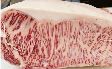 静岡 黒毛 和牛 ブランド 「 静岡そだち 」 サーロインステーキ 250g×2枚 合計約500g