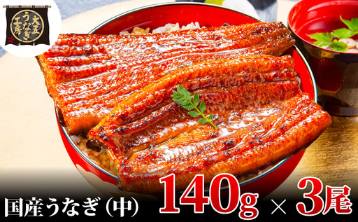 うなぎ蒲焼 140g×3尾(420g) うなぎ ウナギ 鰻 蒲焼 蒲焼き冷凍 国産 大五 大五通商 静岡 島田市 9,750円