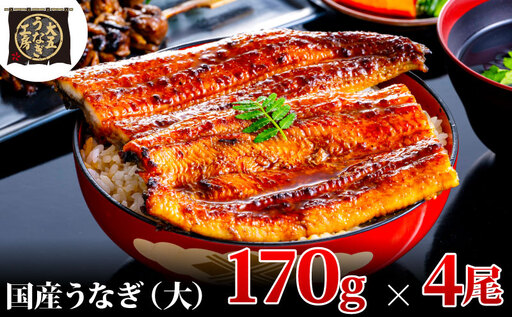 うなぎ蒲焼 170g×4尾(680g) うなぎ ウナギ 鰻 蒲焼 蒲焼き冷凍 国産 大五 大五通商 静岡 島田市