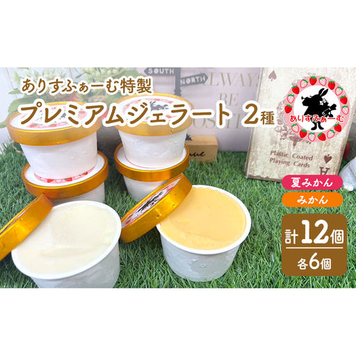 みかん ジェラート セット 静岡 ありすふぁーむ みかんジェラート 夏みかんジェラート 12個セットみかん 夏みかん 冷凍【島田市】