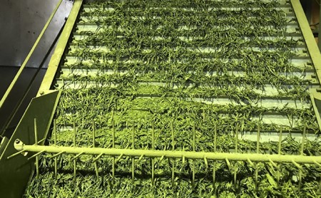 高級深蒸し煎茶飲み比べセット 5種類　各100平袋入り