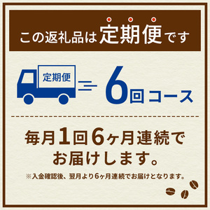 定期便6ヶ月　ネスカフェ　エクセラ　ボトルコーヒー　ゼロ　900ml×12本　珈琲 アイスコーヒー 豊かな香り すっきり 飲みやすい 島田市 静岡県