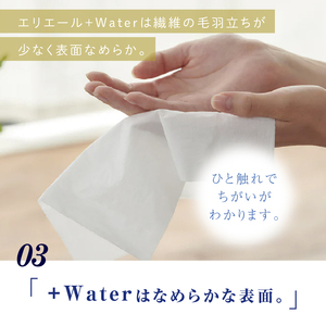 ティッシュ 【ふるさと納税】エリエール+Water（プラスウォーター）ソフトパックティシュー120組2パック ティシューペーパー 保湿 保湿ティッシュ 日用品 消耗品 静岡 静岡県 島田市