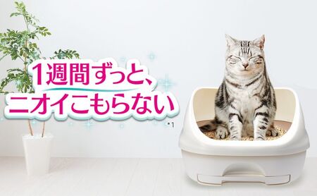 猫 トイレ デオトイレ 4L×2袋 3ヶ月定期便 緑茶成分入り消臭・抗菌サンド 静岡県 島田市