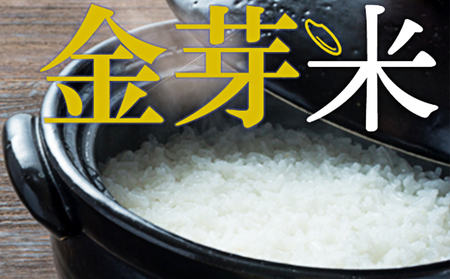静岡県産　JAおおいがわ金芽米5kg（無洗米）【配送不可：北海道・沖縄・離島】