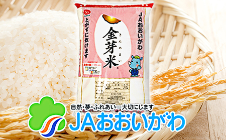 静岡県産　JAおおいがわ金芽米20kg（5kg×4袋・無洗米）【配送不可：北海道・沖縄・離島】