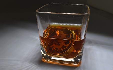 コイン型のアイスキューブ（秋） 雑貨 日用品 アイスコイン 氷 ステンレス 化粧箱 