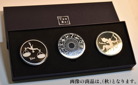 コイン型のアイスキューブ（秋） 雑貨 日用品 アイスコイン 氷 ステンレス 化粧箱 