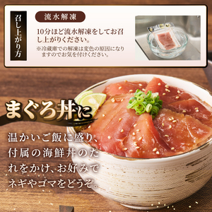 駿河屋賀兵衛 本まぐろ赤身 2人前 大物 本マグロ まぐろ 赤身 計140g 海鮮丼のたれ付 贅沢 寿司ネタサイズ カット済み 切り身 厚い 刺身 マグロ丼 海鮮丼 寿司 巻き寿司 旨味 爽やか 人気 真空パック 冷凍発送 静岡県 富士市 [sf067-012]