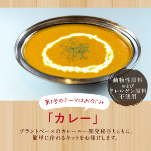 カレー 野菜のうまみを引き出した 体にやさしいカレー 4人前 手作りキット 粉末ルー 乾燥野菜 1パック付き  野菜と穀物原料 プラントベース 添加物不使用 オーガニック ベジタリアン ビーガン アレルギー 健康 冊子 静岡県 富士市 [sf051-003]