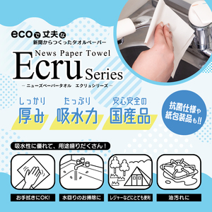 ペーパータオル エクリュ 小判サイズ 200枚 × 42パック 抗菌仕様 吸水力 エンボス加工 手拭き 掃除 破れにくい 使いやすい 再生紙 リサイクル まとめ買い 日用品 生活用品 消耗品 使い捨て 衛生的 ハンドタオル SDGs 富士市 [sf023-022]