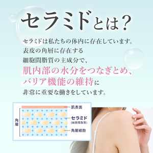 DHC セラミドモイスチュア 2個(60日分) サプリメント 機能性表示食品 コラーゲンペプチド ビタミンC ビタミンE セラミド 全身保湿 うるおい 乾燥 健康 富士市 [sf014-025]