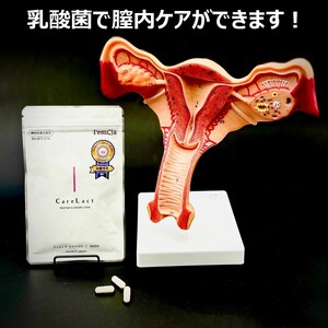 サプリ フェムシア ケアラクト 30粒入 膣内フローラ 女性専用 約30日分 簡単ケア バランス 乳酸菌 サプリメント 機能性表示食品 富士市 [sf087-001]