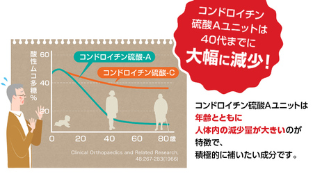 【定期便12カ月】 グルコサミンコンドロイチン EX 240粒入り サプリ サプリメント ダイエット 健康 グルコサミン コンドロイチン コラーゲン 豚由来 コラーゲンペプチド 医薬品 関節 ウォーキング 散歩 日本ハム 送料無料 [sf069-005]