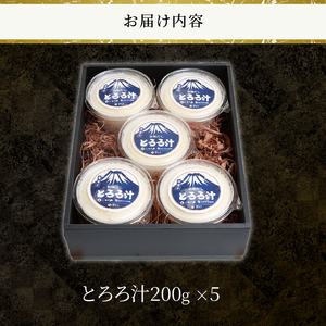 とろろ汁 5個セット 大和芋 ほんやま自然薯 すりたてののど越し コク 醤油ベース 冷凍 富士市 [sf095-005]