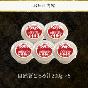 自然薯100％ とろろ汁 5個セット ほんやま自然薯 粘り すりたてののど越し コク 醤油ベース 冷凍 富士市 [sf095-006]