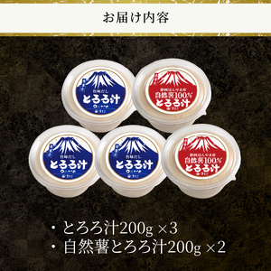 とろろ汁 3個 自然薯100％とろろ汁 2個 すりたてののど越し 2種 食べ比べ 大和芋 ほんやま自然薯 醤油ベース セット 冷凍 富士市 [sf095-007]