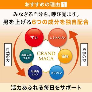 サントリーウエルネス グラン マカ 120粒入 約30日分 ハードカプセル 3大成分 活力 毎日 サポート スーパーアミノ酸 L-シトルリン 亜鉛 静岡県 富士市 [sf061-011]