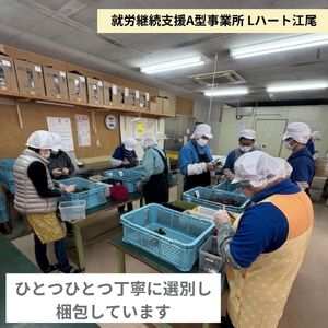 【就労継続支援】 富士山 乾燥 きくらげ 10g×10個入り 富士山の伏流水使用 料理 カルシウム 食物繊維 ビタミンD 【配送不可地域：沖縄本島・離島】 [sf068-029]