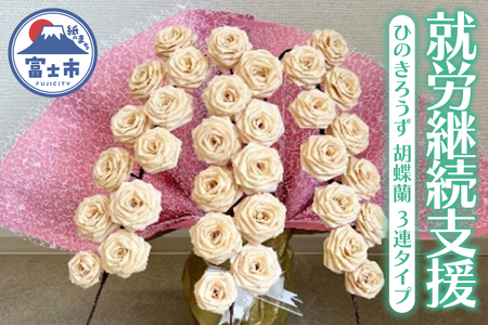 【就労継続支援】 ひのきろうず 胡蝶蘭 3連タイプ 鉢付き 富士檜 インテリア ギフト 贈答 プレゼント 雑貨 日用品 富士市 【配送不可地域：沖縄本島・離島】 [sf068-031]