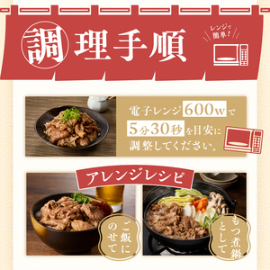 もつ煮込み 4食入(1食250g) 純国産豚 豚肉 柔らか 厳選ホルモン 冷凍発送 たつみ庵 もつ煮 おかずご飯 おつまみ 惣菜 レトルト 静岡県 富士市 [sf001-199]