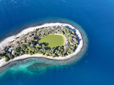 クルージング 大瀬神社コース 体験チケット 8人 クルーズツアー 土日のみ 年末年始受付可能 富士山の壮大な景色 雄大な自然 田子の浦港 隆真丸 完全貸し切り 一生の思い出 静岡県 富士市 [sf001-187]