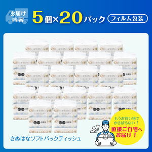 ティッシュ きぬはな ソフトパック 100個 パルプ100％ コンパクト 箱なし フィルム包装[sf002-385]
