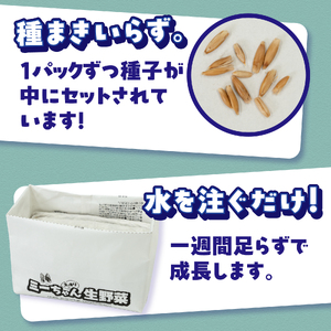 猫草栽培セット ミーちゃんスッキリ 生野菜 2パック×10個 ねこくさ 毛玉対策 猫 ペット ペット用品 お手入れ用品 植物 富士市 [sf002-386]