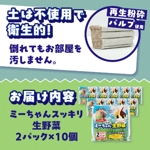 猫草栽培セット ミーちゃんスッキリ 生野菜 2パック×10個 ねこくさ 毛玉対策 猫 ペット ペット用品 お手入れ用品 植物 富士市 [sf002-386]
