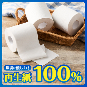 トイレットペーパー 96ロール(12R×8パック) ダブル エグレット 無香料 ホワイト エンボス加工 再生紙100％ 備蓄 防災 生活必需品 日用品 消耗品 生活用品 富士市 [sf002-389]