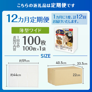 定期便 12回 ペットシーツ 【極】シリーズ 薄型ワイド 100枚 ペット用 犬用 猫用 トイレシーツ 日用品 ペット用品 防災 備蓄 消耗品 ドッグ キャット わんちゃん ねこちゃん 静岡県 富士市 [sf077-139]