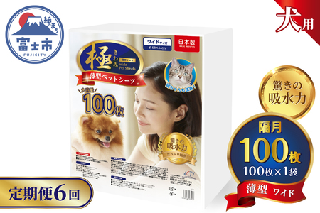 定期便 6回 ペットシーツ 【極】シリーズ 薄型ワイド 100枚 ペット用 犬用 猫用 トイレシーツ 日用品 ペット用品 防災 備蓄 消耗品 ドッグ キャット わんちゃん ねこちゃん 静岡県 富士市 [sf077-140]