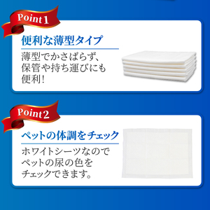 定期便 6回 ペットシーツ 【極】シリーズ 薄型ワイド 100枚 ペット用 犬用 猫用 トイレシーツ 日用品 ペット用品 防災 備蓄 消耗品 ドッグ キャット わんちゃん ねこちゃん 静岡県 富士市 [sf077-140]