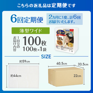 定期便 6回 ペットシーツ 【極】シリーズ 薄型ワイド 100枚 ペット用 犬用 猫用 トイレシーツ 日用品 ペット用品 防災 備蓄 消耗品 ドッグ キャット わんちゃん ねこちゃん 静岡県 富士市 [sf077-140]
